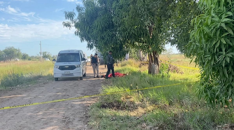 El menor cayó del árbol tras recibir descarga eléctrica