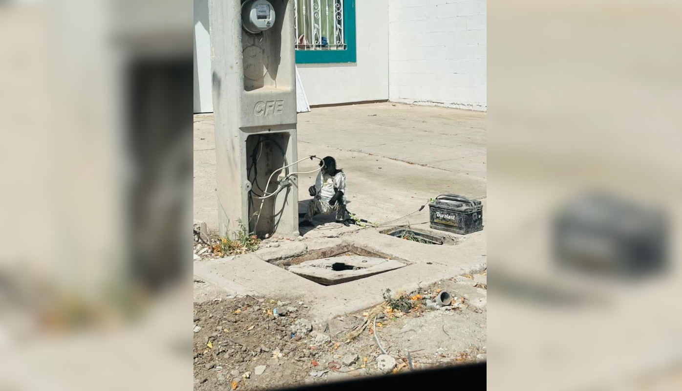Mono amarrado a una pila de auto.