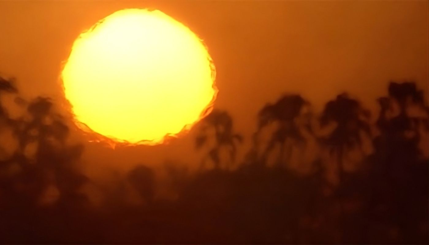 Imagen hecha con ia de sol fuerte al fondo y siluetas de palmas