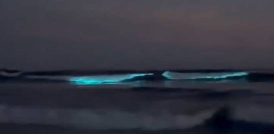 Mar de noche con destellos azules brillantes