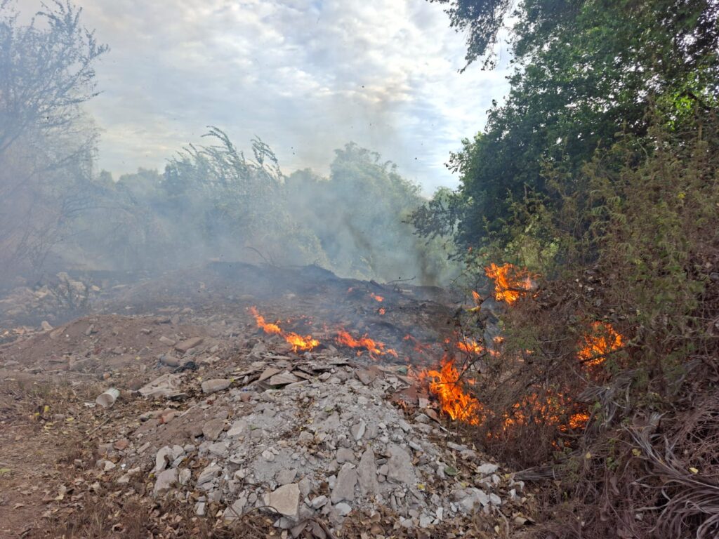 Fuego y humo blanco sobre maleza en el monte