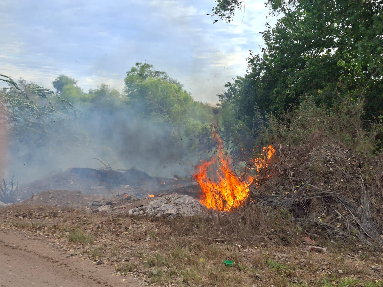 Fuego en un lote baldío con ramas y árbol seco
