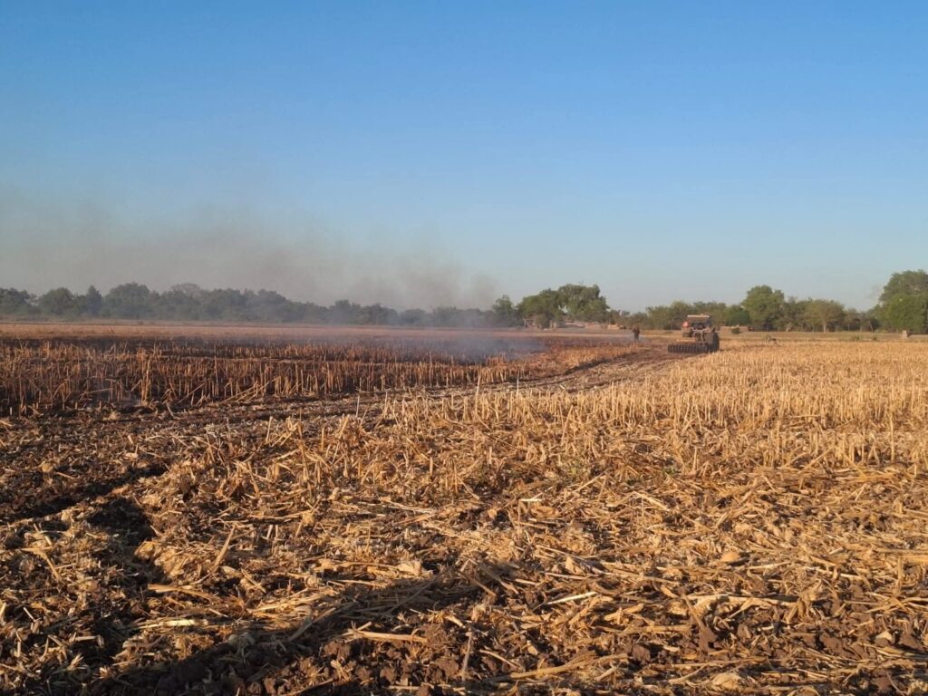 Predio de maíz con humo gris