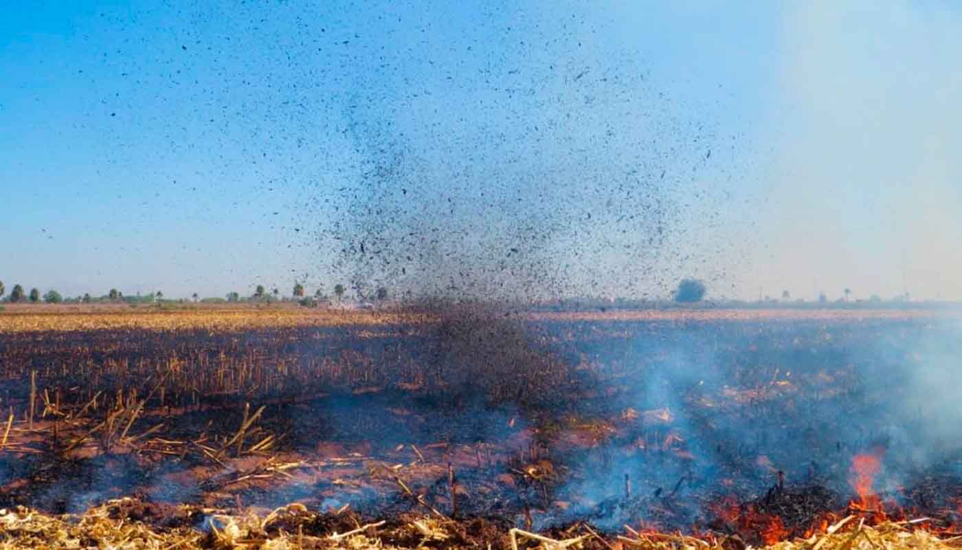 Quema de Soca al norte de Sinaloa