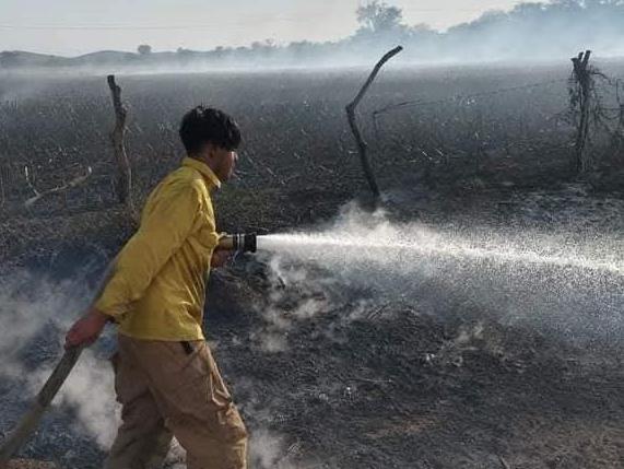 Personal de bombero con una maguera y agua en un campo incendiado