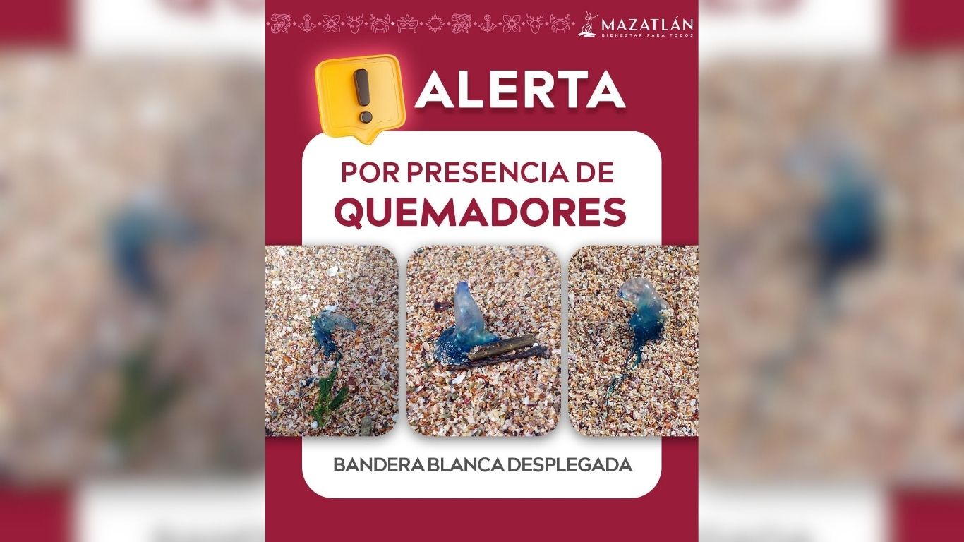 Imagen de alerta por presencia de quemadores
