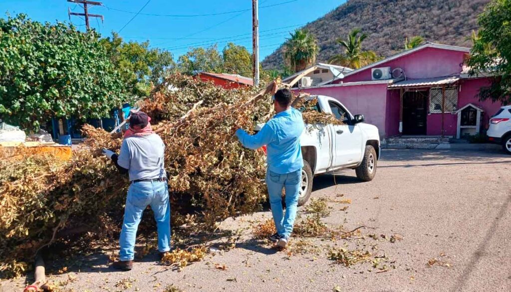 Recolección de basura en Ahome
