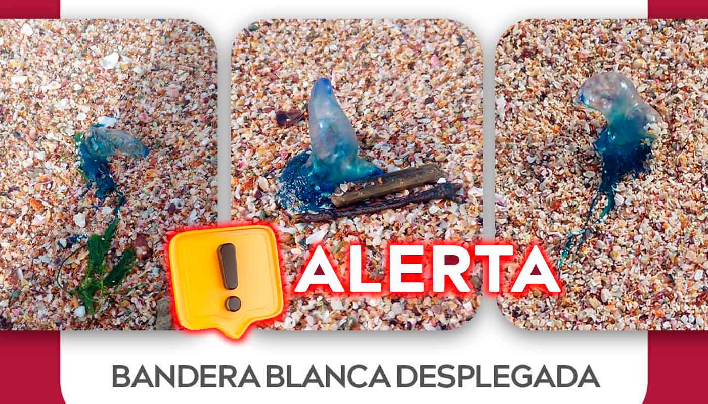 Refuerzan vigilancia por quemadores en Mazatlán