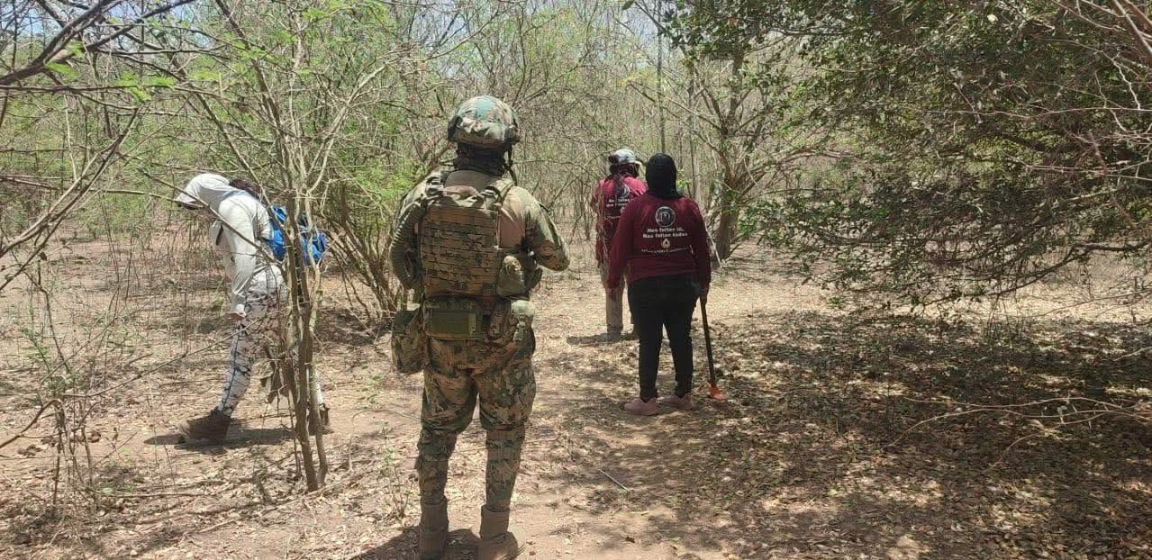 Elementos de la marina y búsqueda en terreno llano