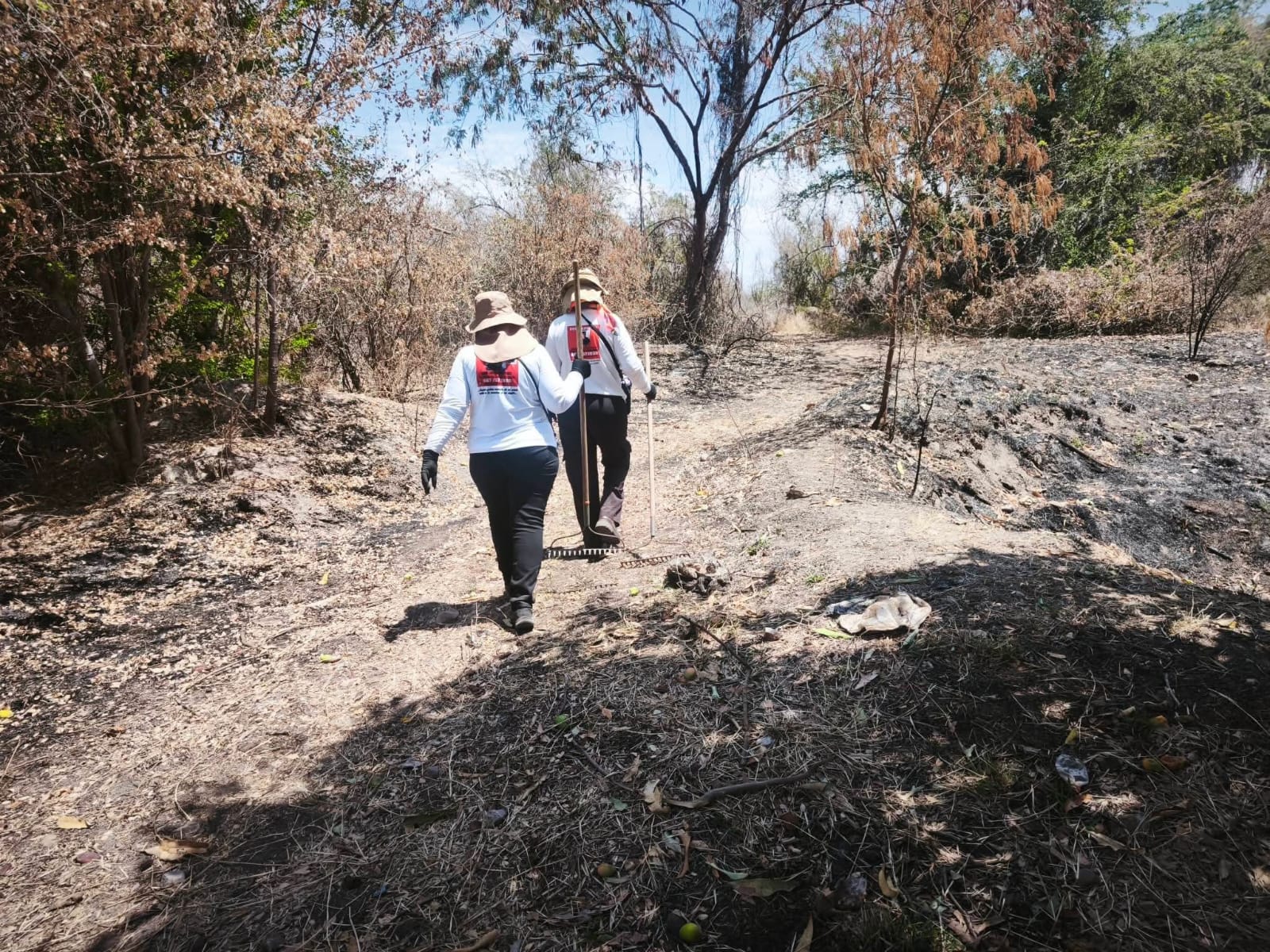 Sabuesos Guerreras hallan fosas clandestinas con restos humanos