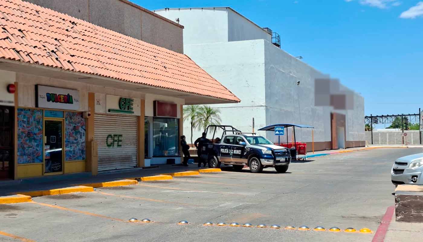 Seguridad en Plaza Fiesta Las Palmas