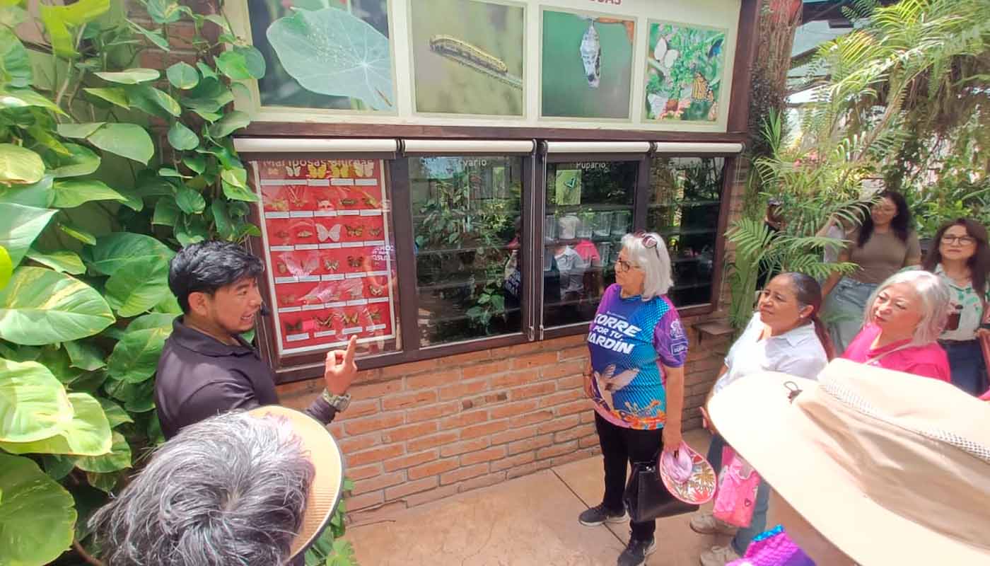 Exposición de mariposas en el Parque Sinaloa