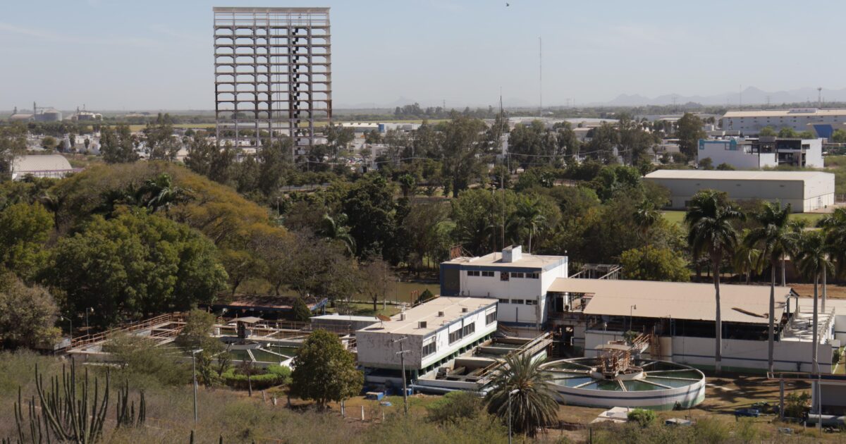 Una hoja de palma provocó la interrupción el servicio de agua potable, en Los Mochis