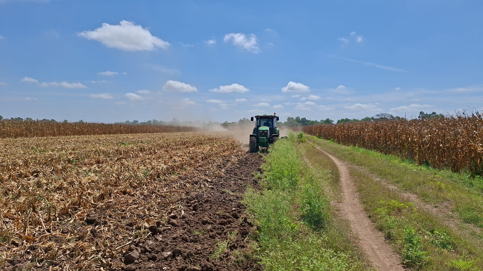 Tractor pasando una máquina en campo de siembra