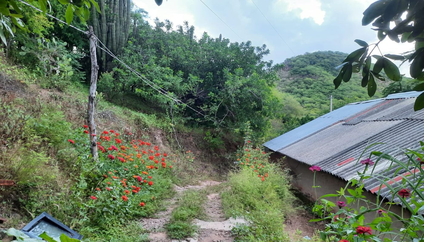 Terreno serrano