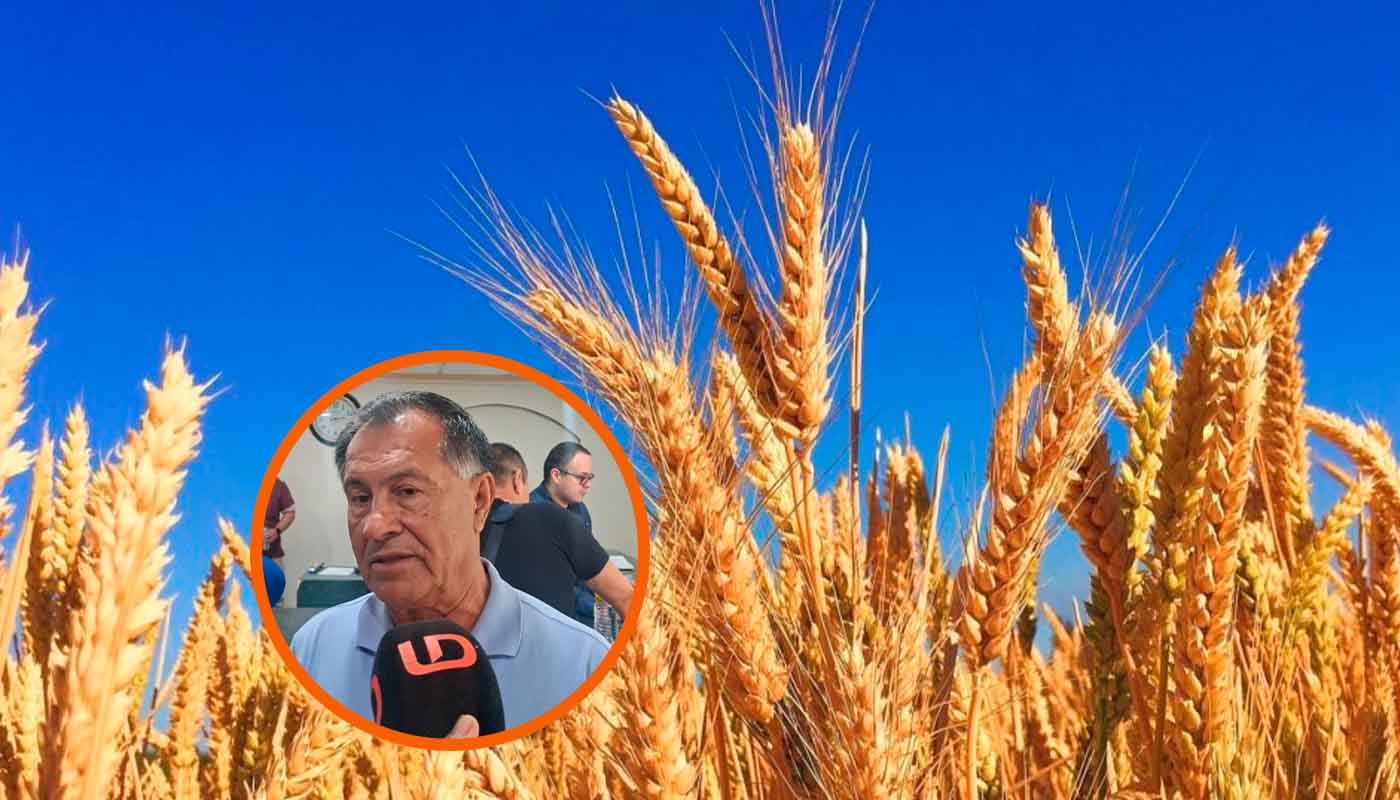 Trigueros piden apoyos extraordinarios