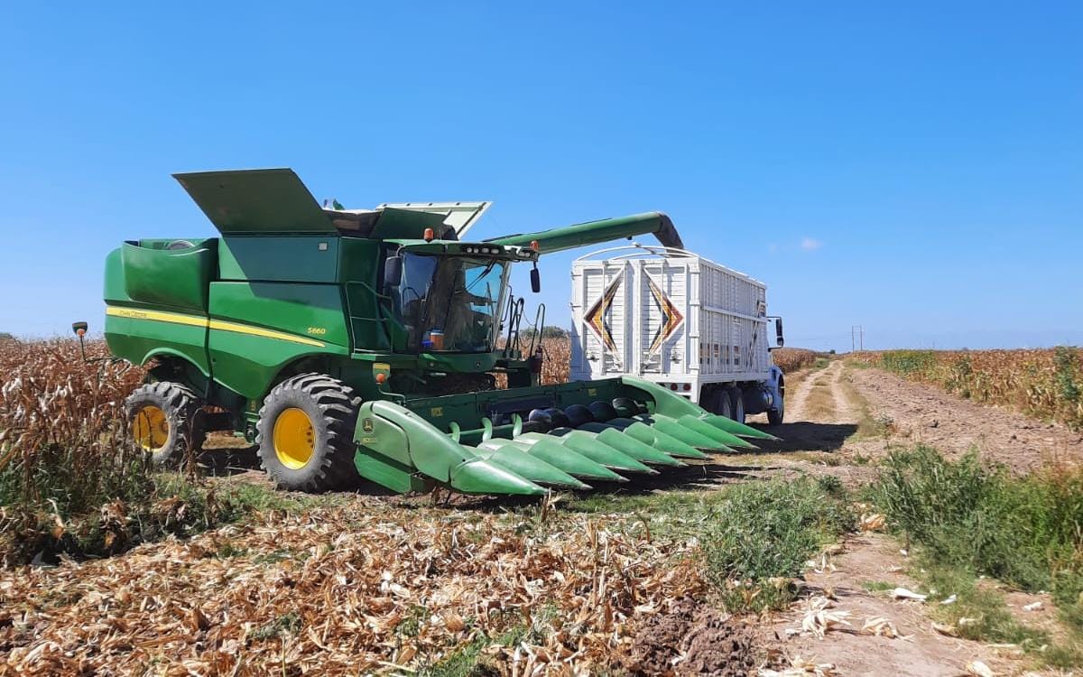 máquina trilladora descargando en camión de carga