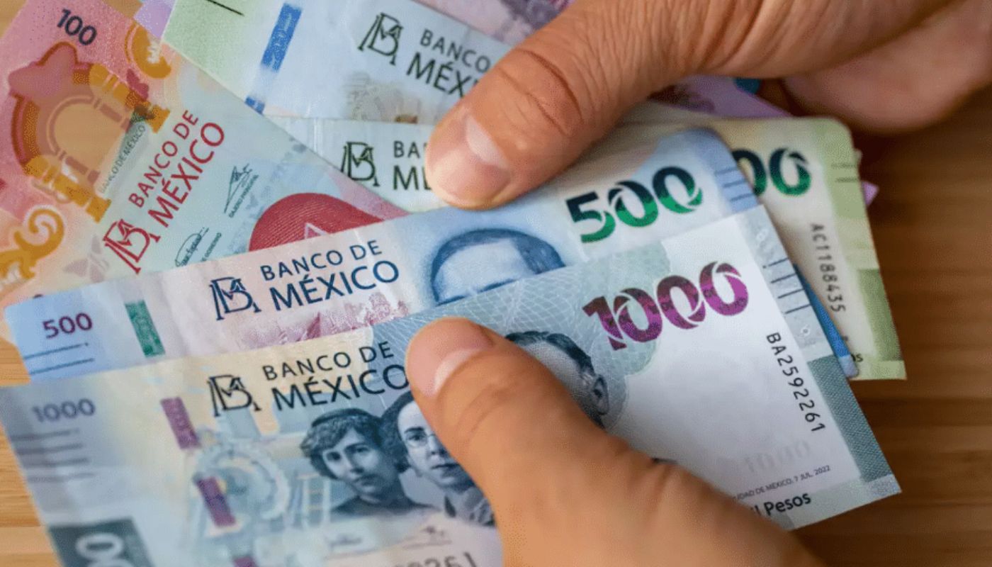 Persona sosteniendo billetes