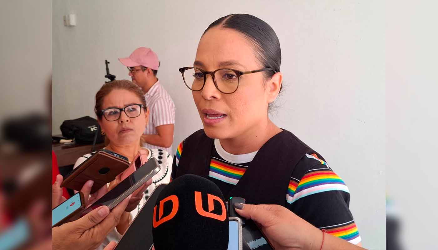 Virginia Ibarra Rojas, titular de diversidad y grupos vulnerables en Semujeres