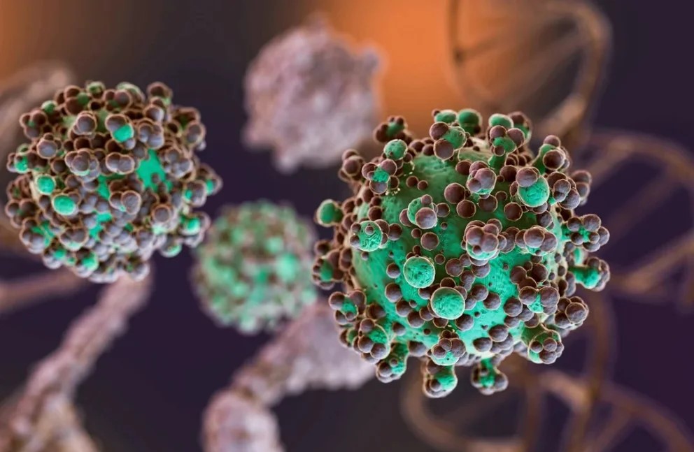 Hantavirus.