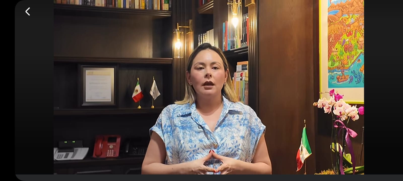 Yeraldine Bonilla Valverde emitiendo un mensaje a través de redes sociales.