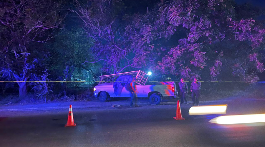 La unidad subió a la acera e impactó contra un árbol