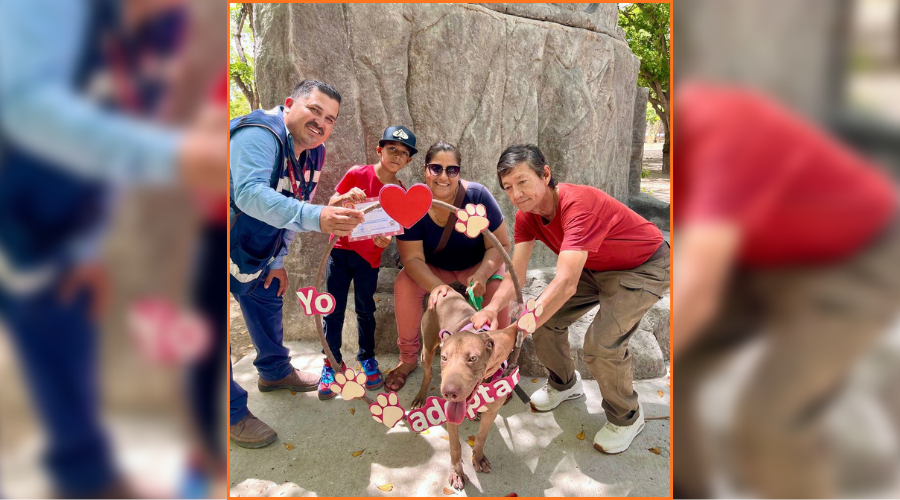Campaña de adopción “Huellitas del Bienestar”