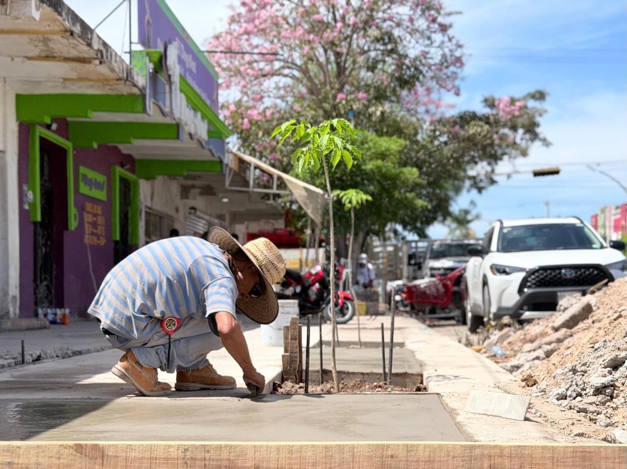 Persona trabajando en banqueta y plantando un árbol