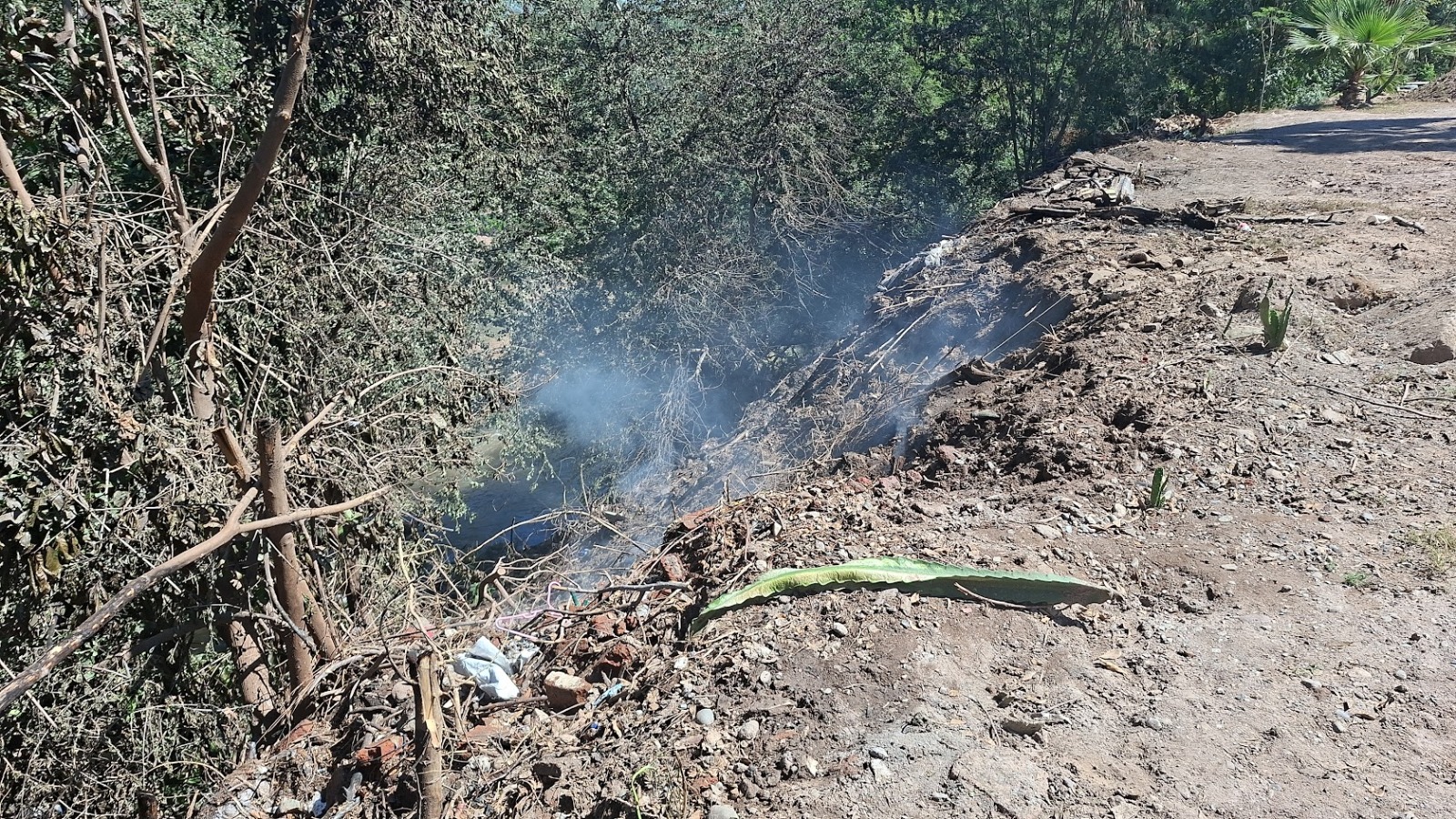 Incendios forestales por calor