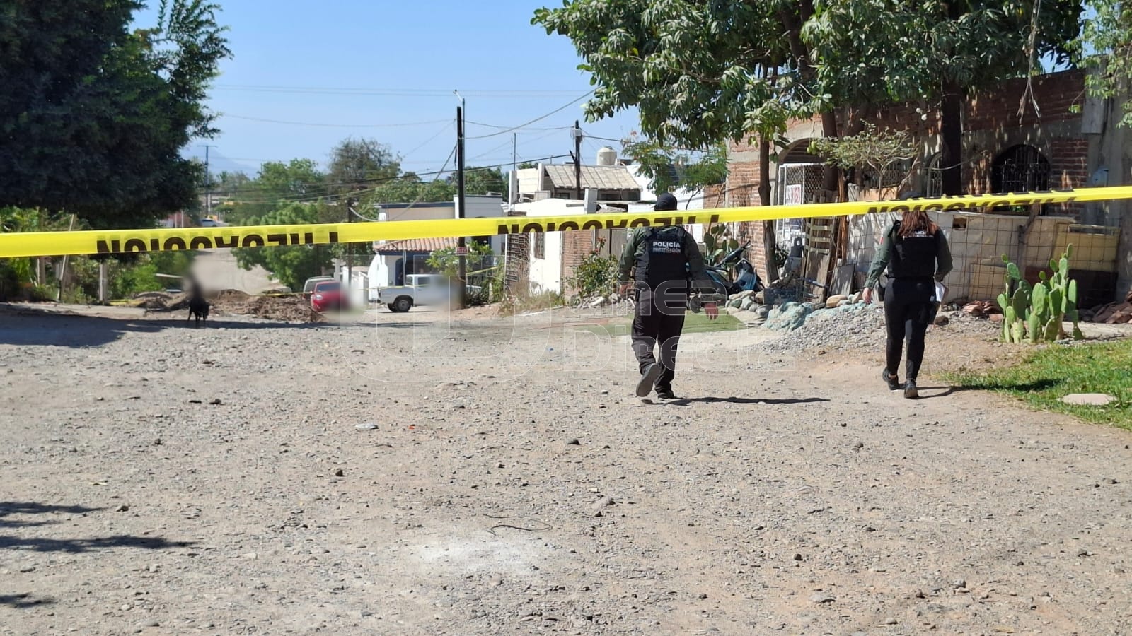 Homicidio en colonia Esthela Ortiz de Toledo de Culiacán.