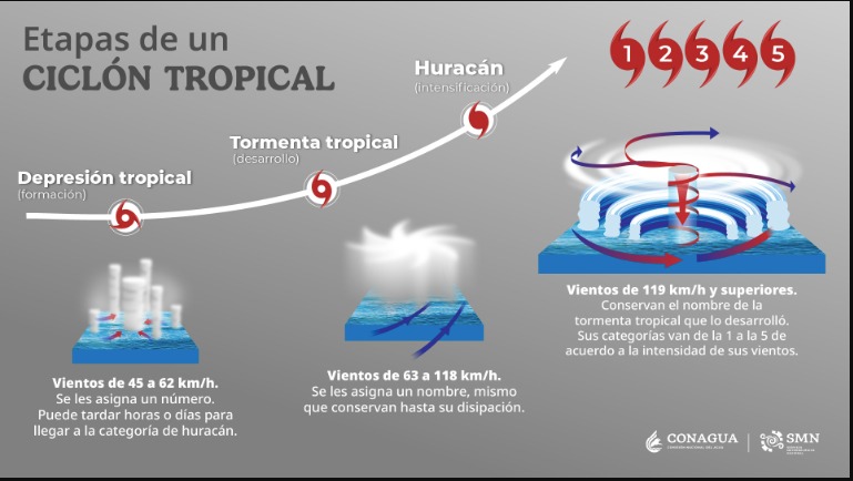 Información de las etapas de un ciclón tropical.