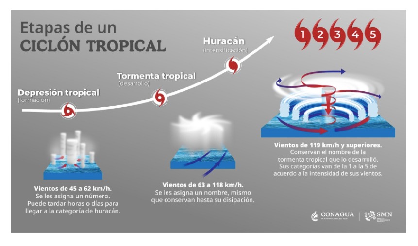 Información de las etapas de un ciclón tropical.