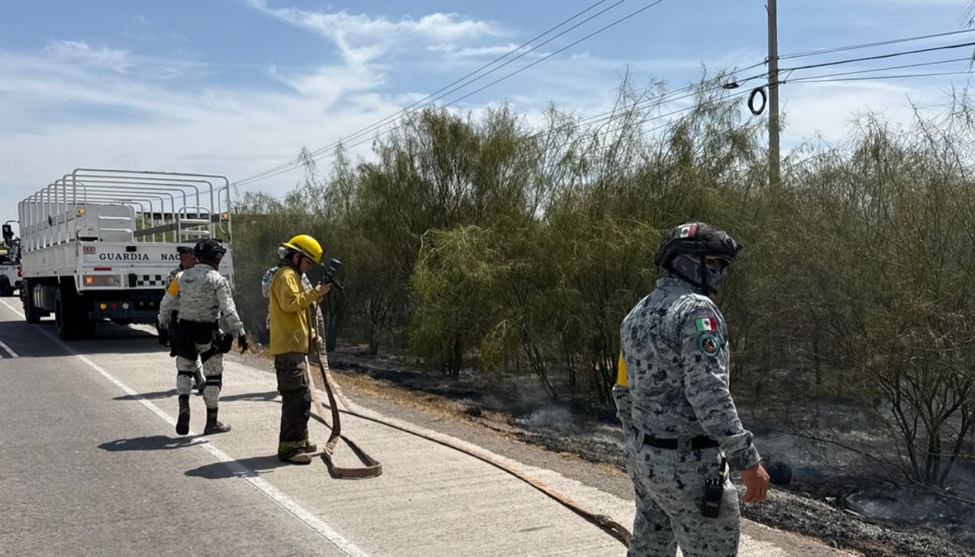 Elementos de seguridad en una calle junto a maleza quemada por incendio