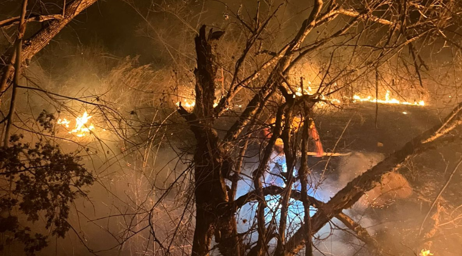 Incendios forestales en las comunidades de Choix