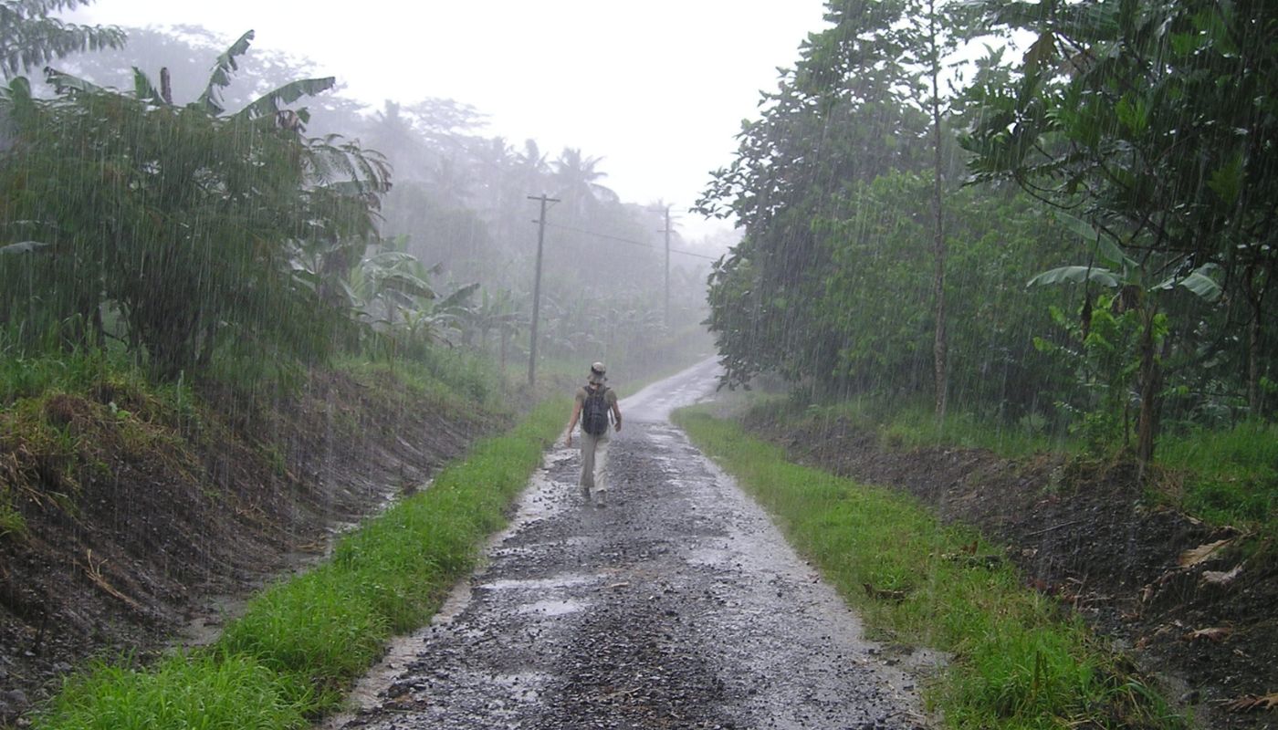 persona caminando en un camino de terracería entre árboles en medio de la lluvia