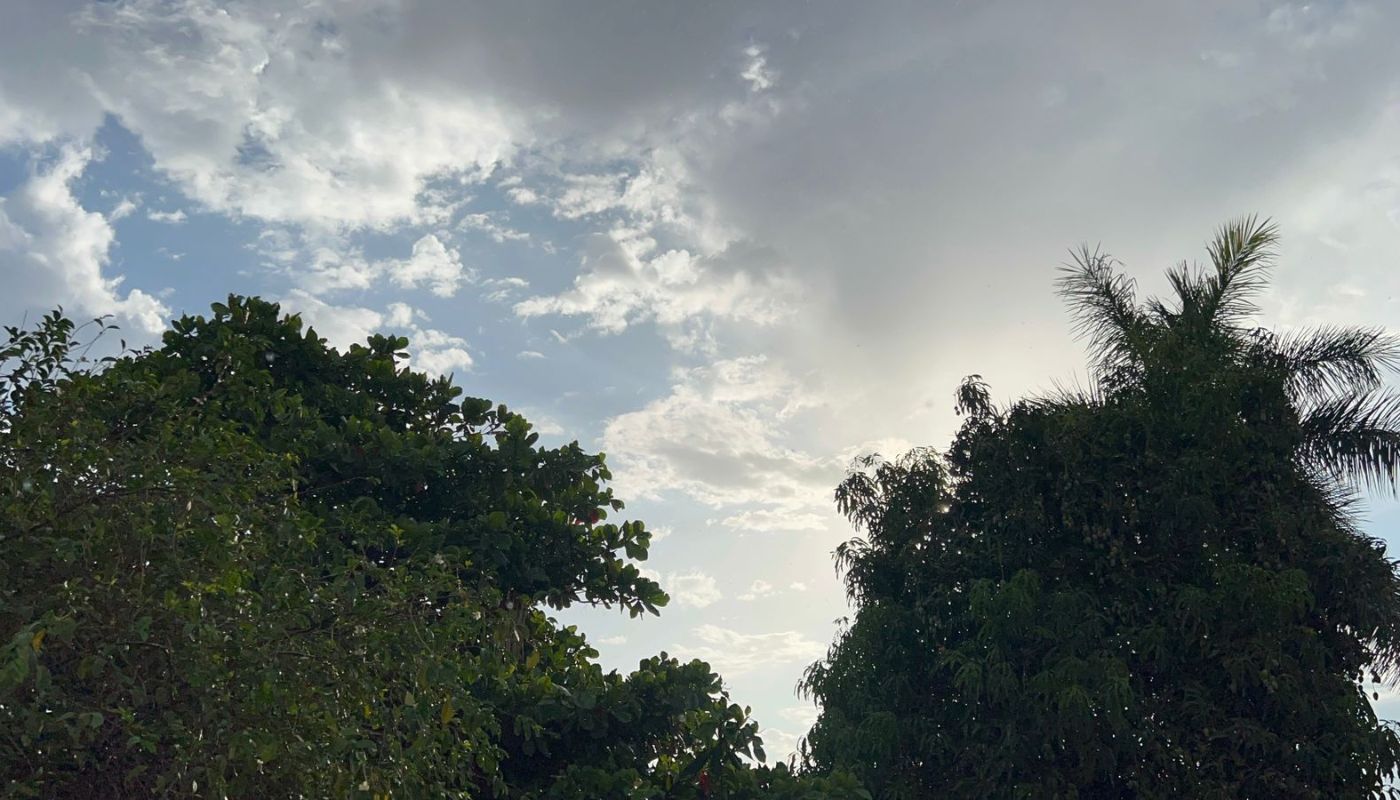 Árboles y cielo azul con nubosidad