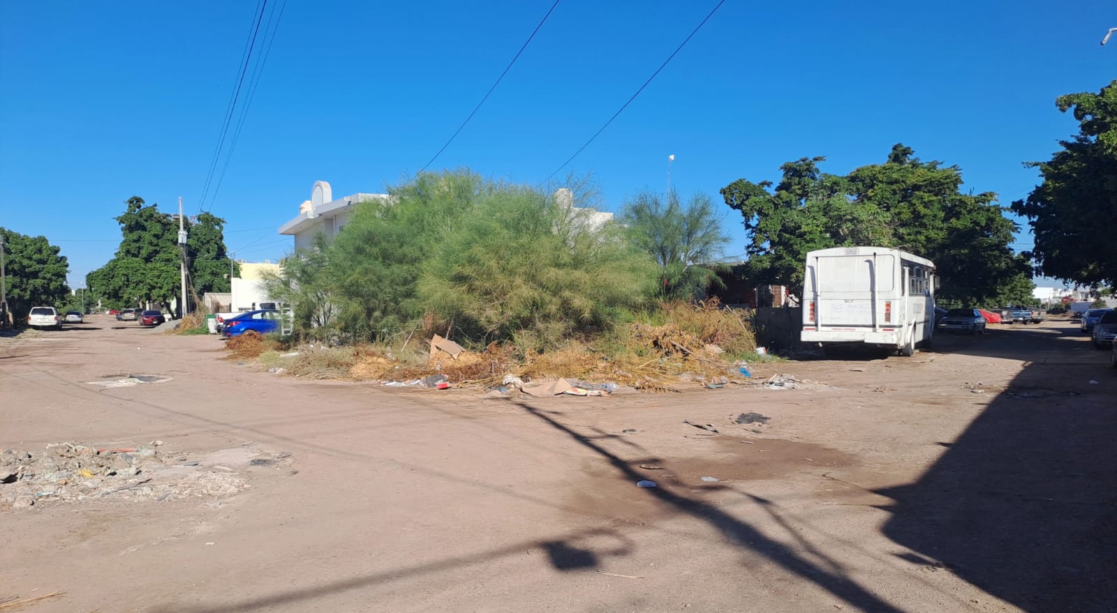 Camino de terracdría y zona de baldío con ramas y basura