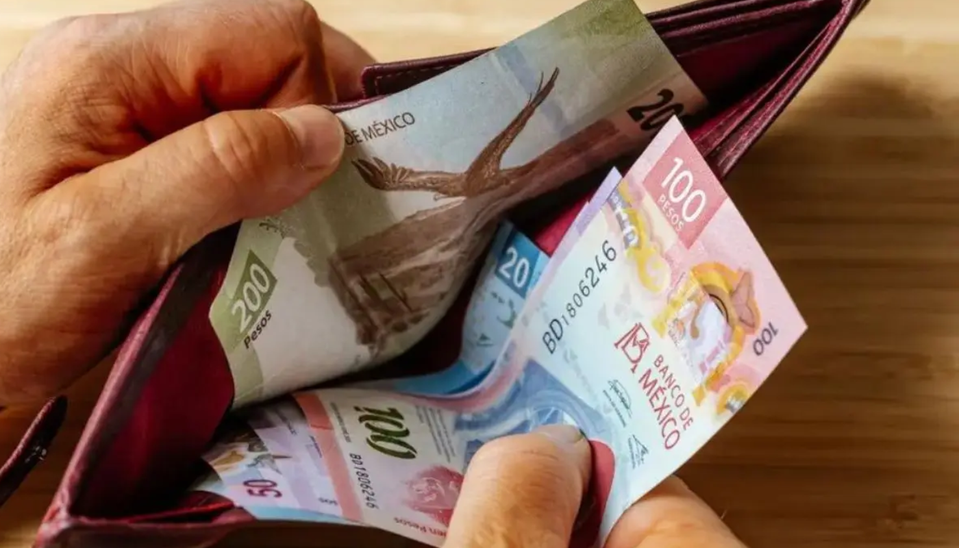 cartera con billetes