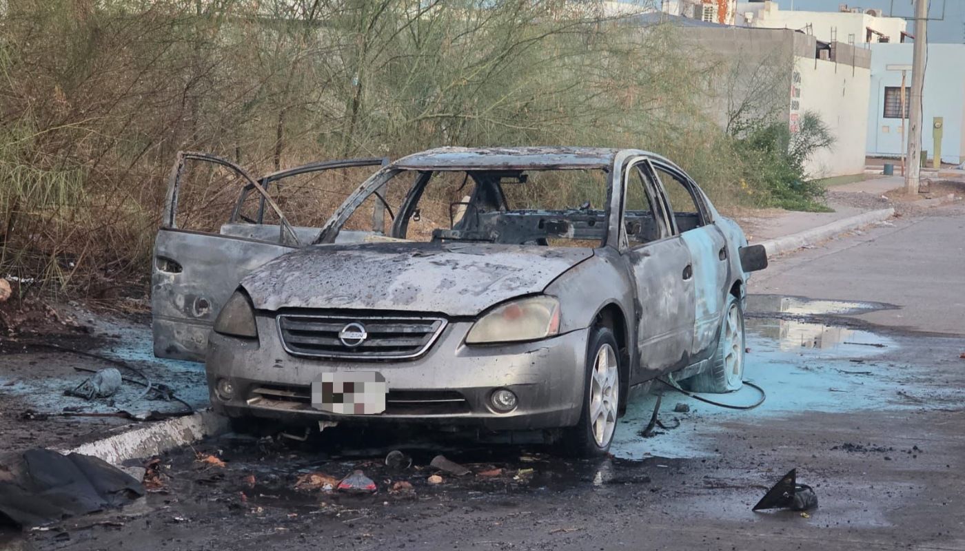 Carro calcinado por incendio junto a matorrales en una calle