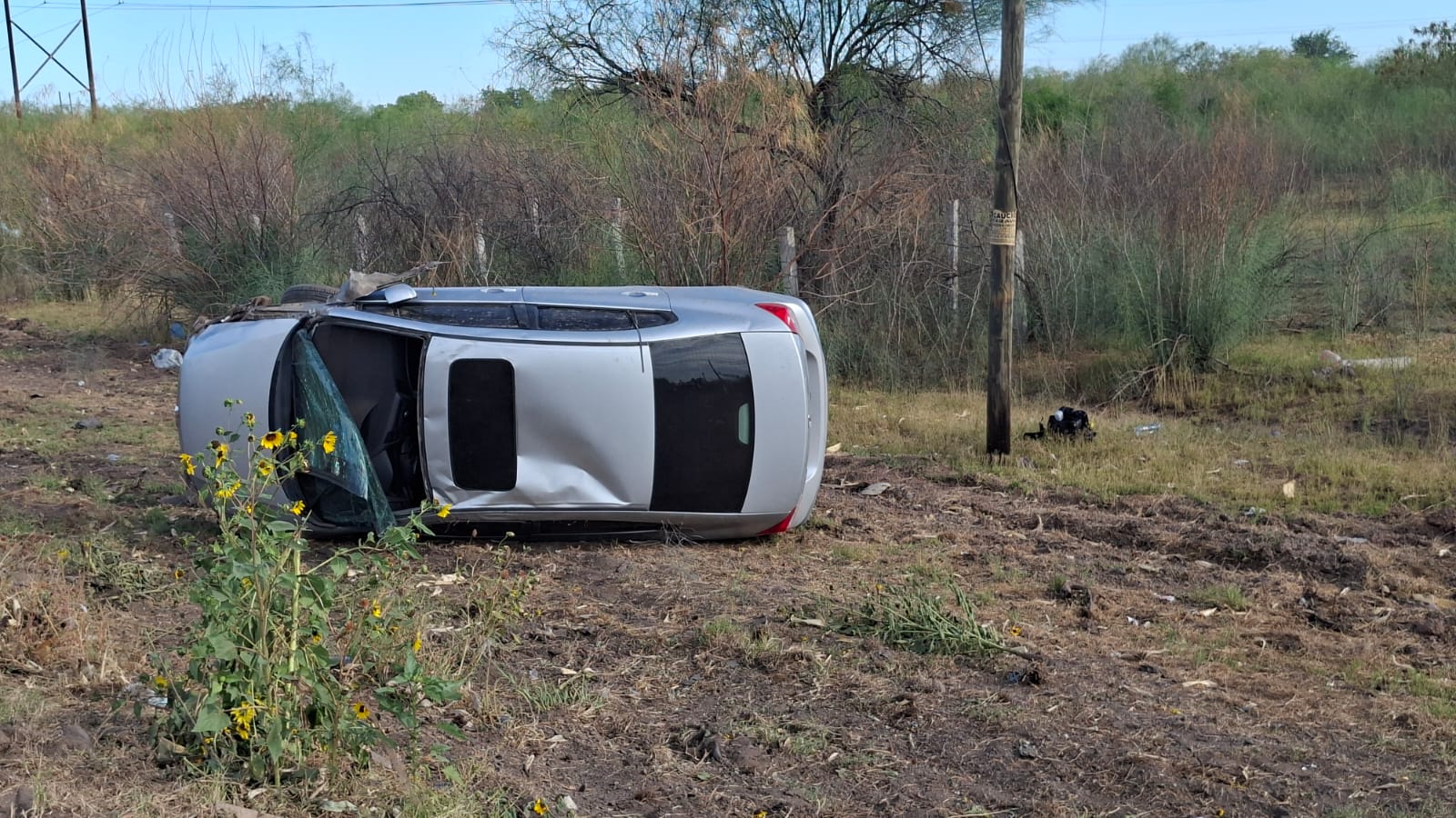 Automovil volcado en un costado de una carretera entre fauna