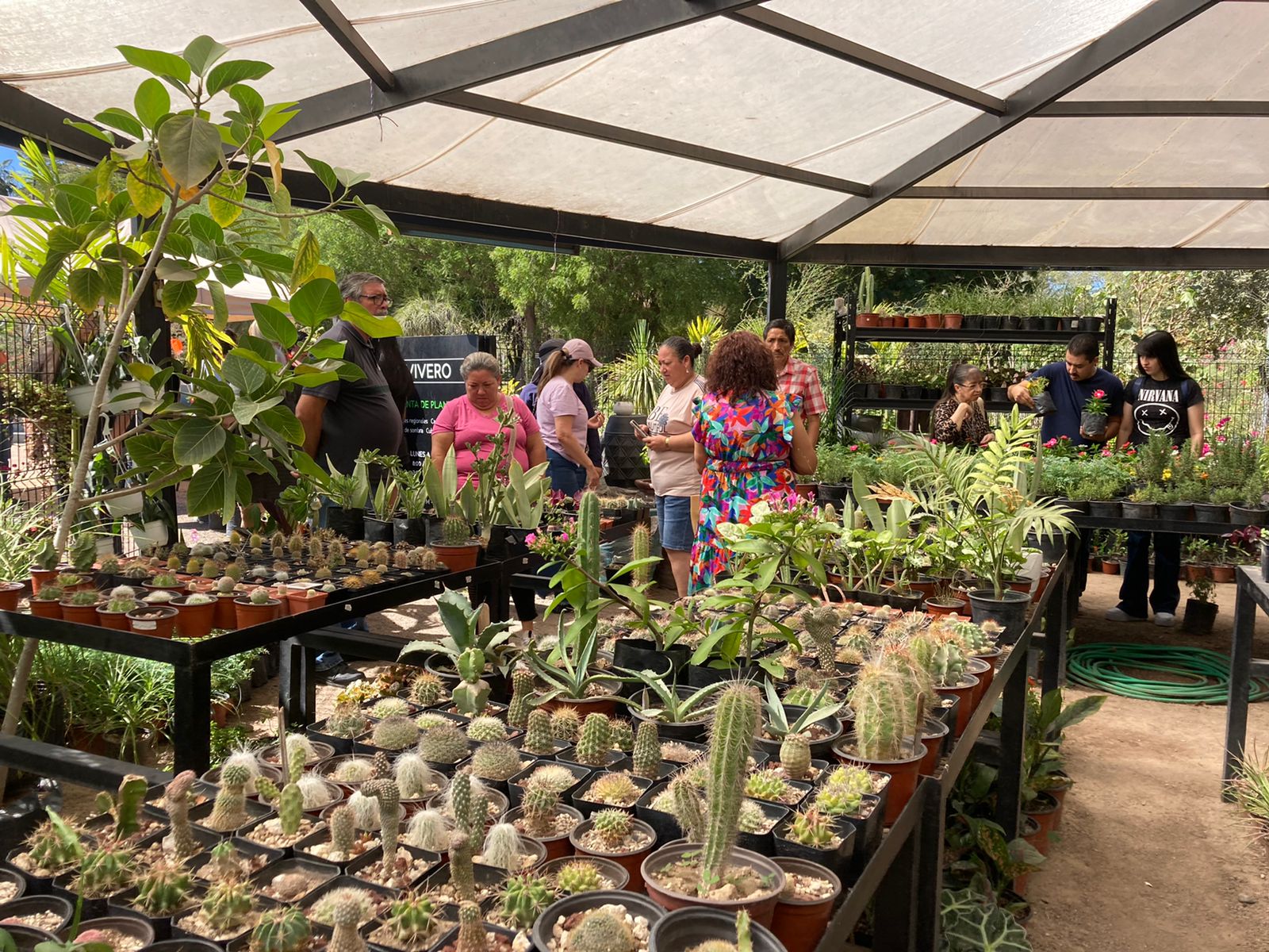 Vivero de plantas