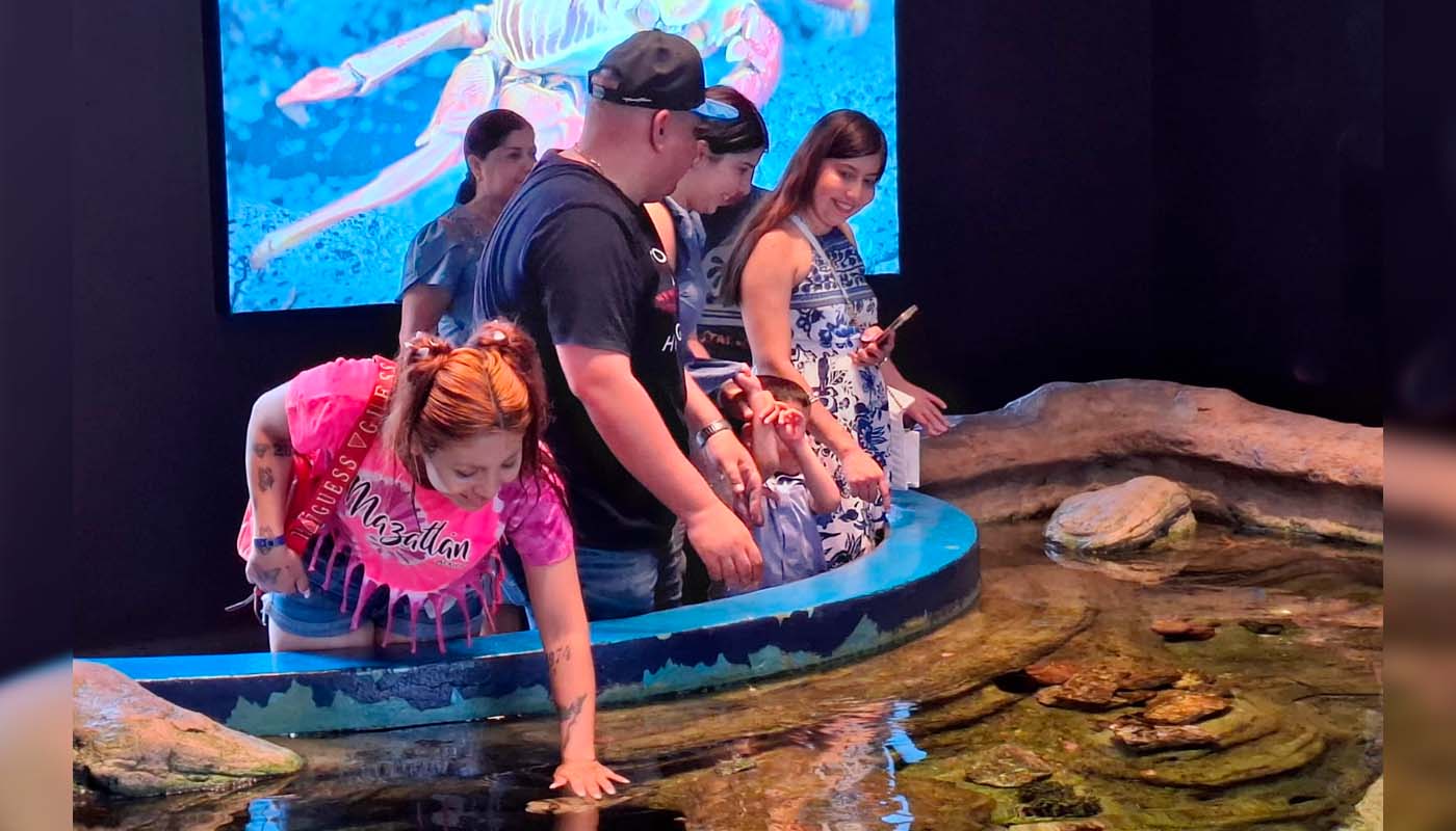 Acuario Mazatlán reporta exitoso cierre de mayo