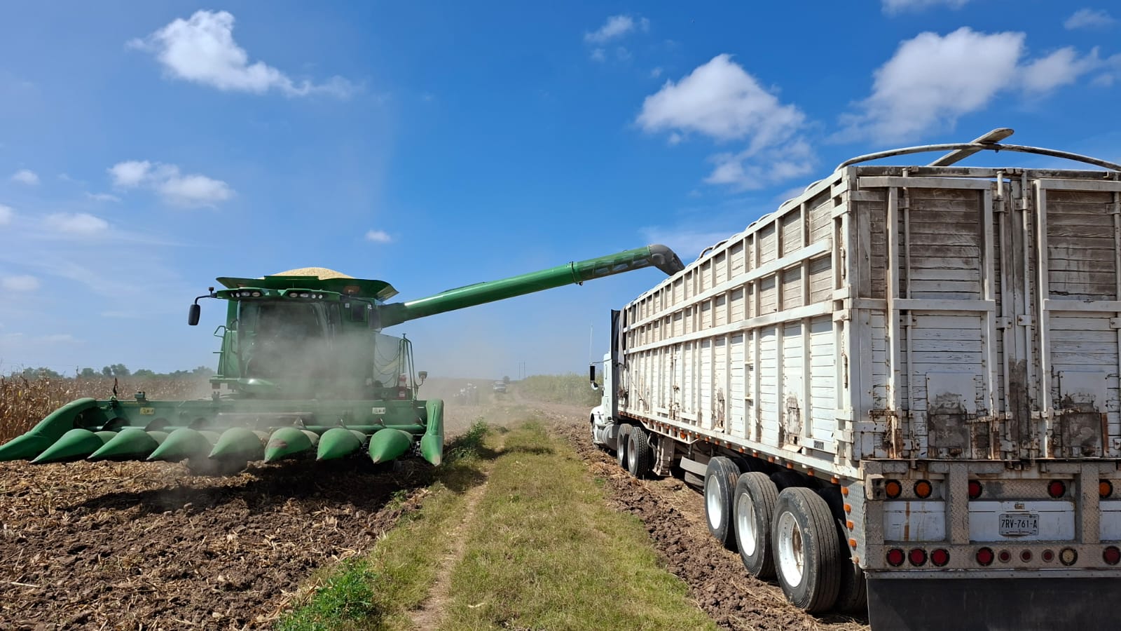 Trilladora en un campo agrícola con un camión recolector