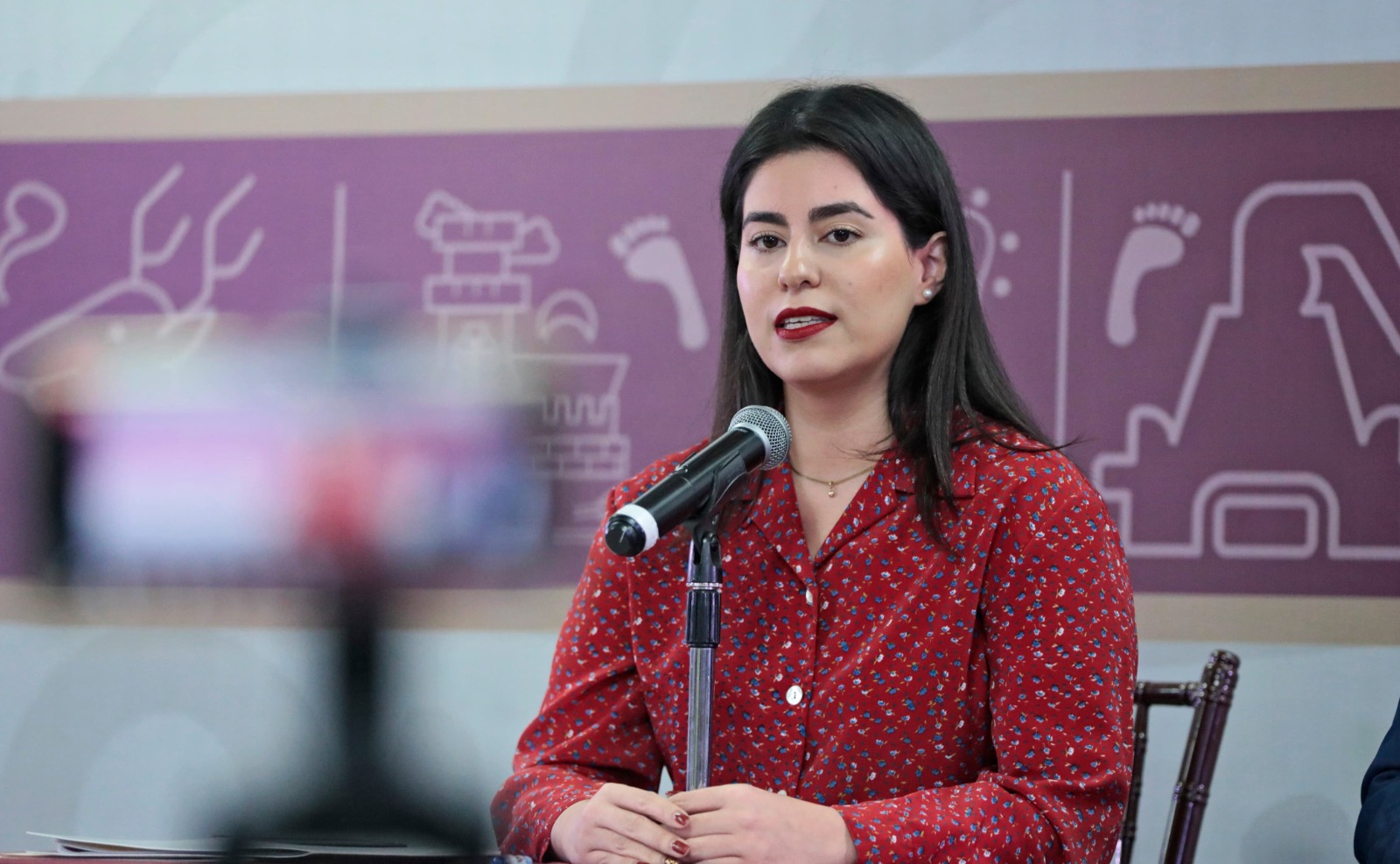 Ana Francis Chiquete