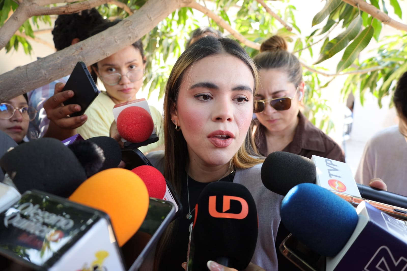 Ana Miriam Ramos Villarreal