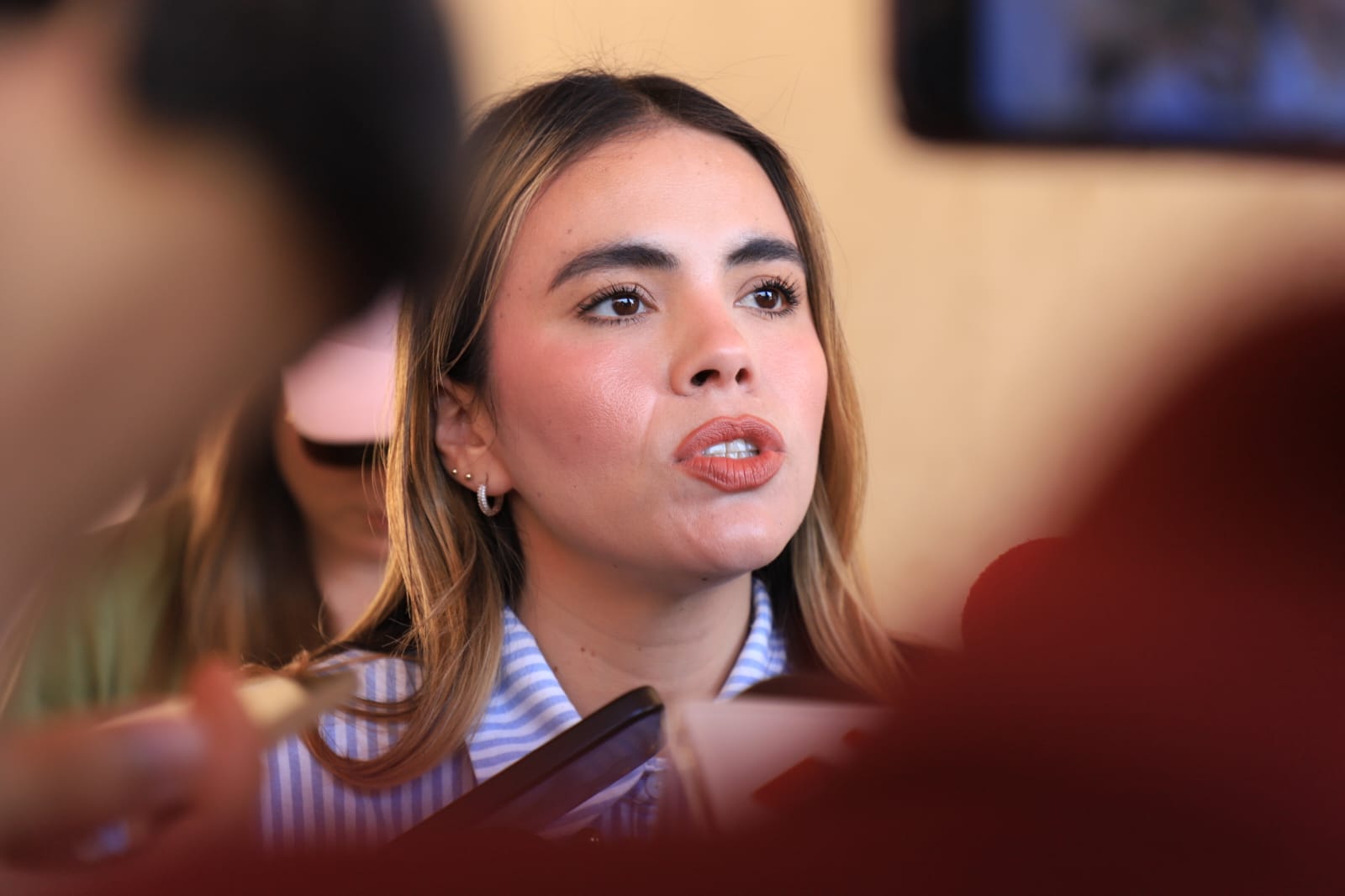 Ana Miriam Ramos Villarreal