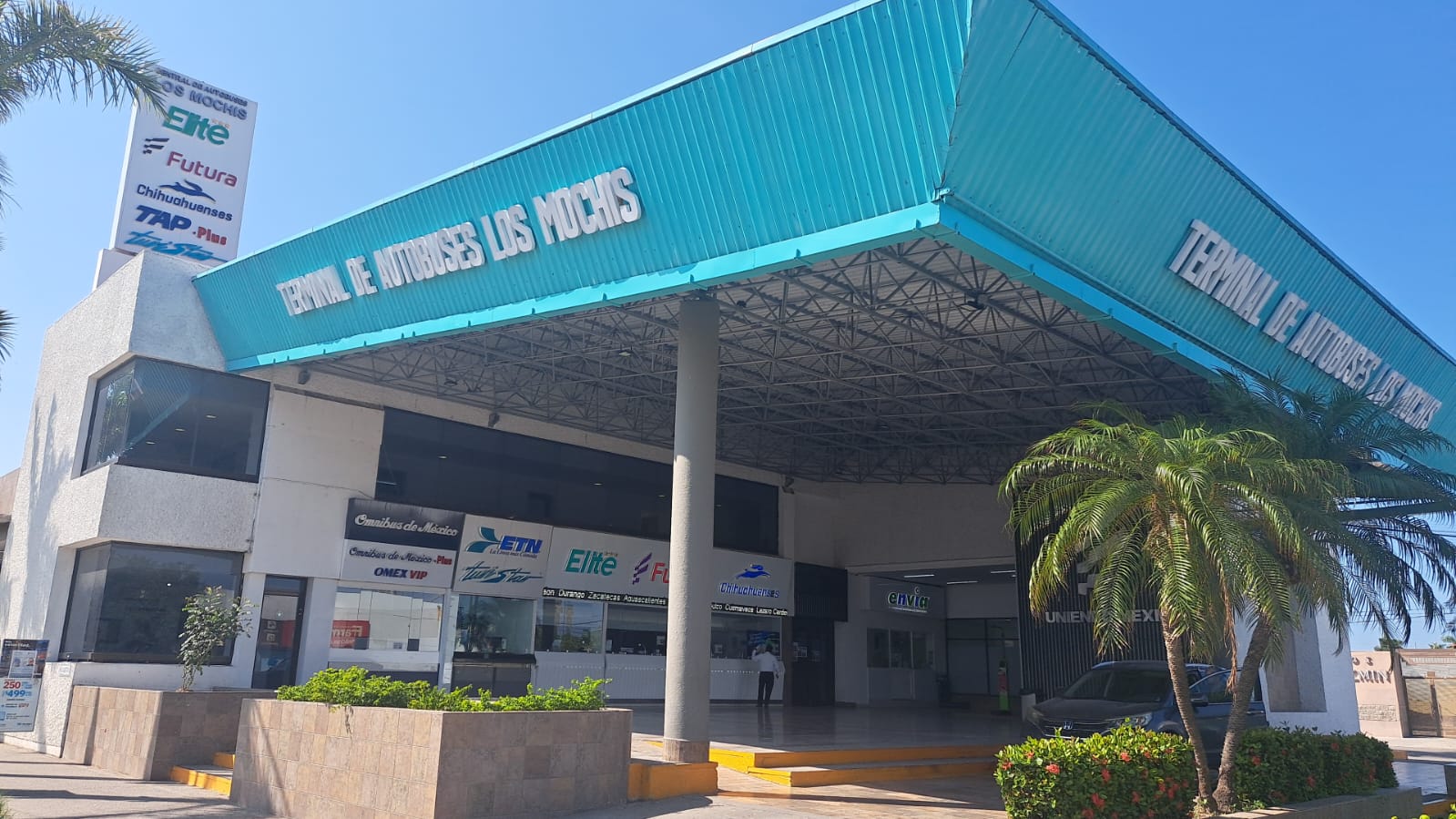 Autobuses Los Mochis