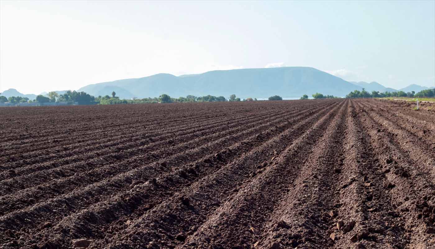 Campo arado en Sinaloa
