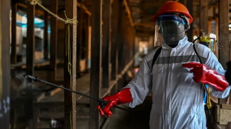 Ébola en África: confirman 389 casos en el brote del Congo