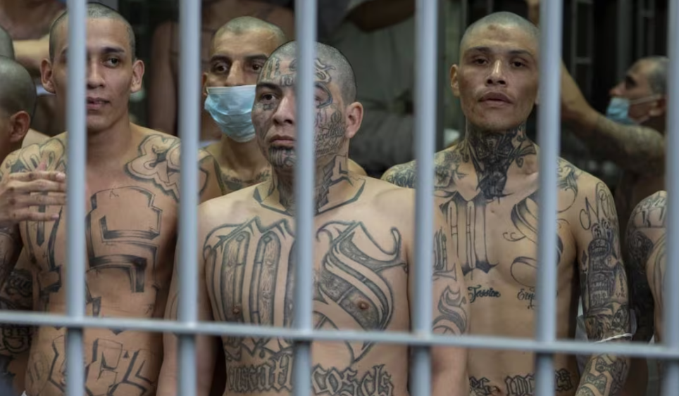 Estados Unidos eleva recompensas para capturar a líderes de la MS-13 en Honduras